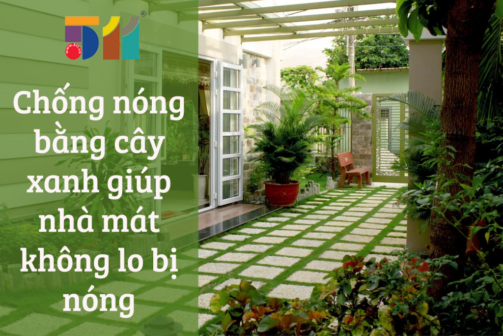 Chống nóng bằng cây xanh giúp nhà mát không lo bị nóng