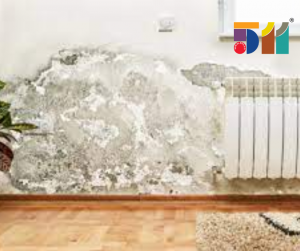 Các vấn đề gặp phải khi xử lý chống thấm 1