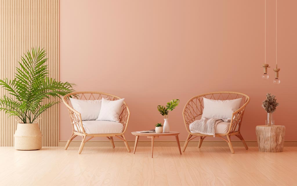 Hình ảnh tham khảo: Peach Fuzz của Pantone