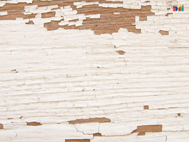 Nguyên nhân nào gây ra nấm mốc trong nhà