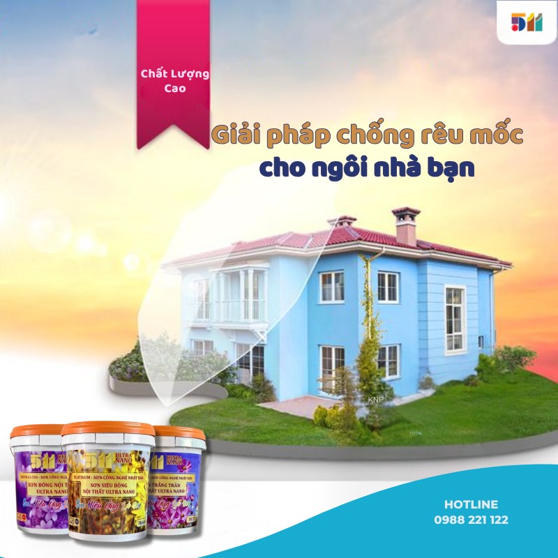 Phương pháp loại bỏ nấm mốc hiệu quả