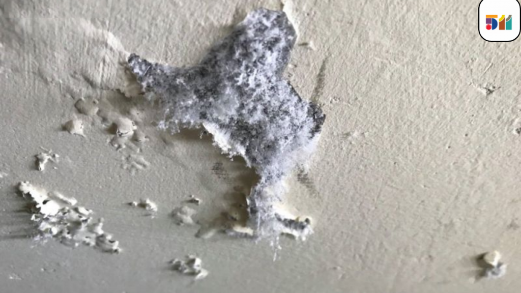 Tường nhà bị kiềm hóa, muối hóa