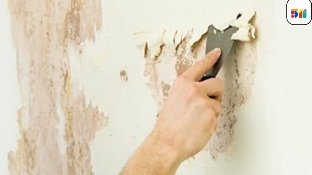 Cách khắc phục tường ố vàng hiệu quả