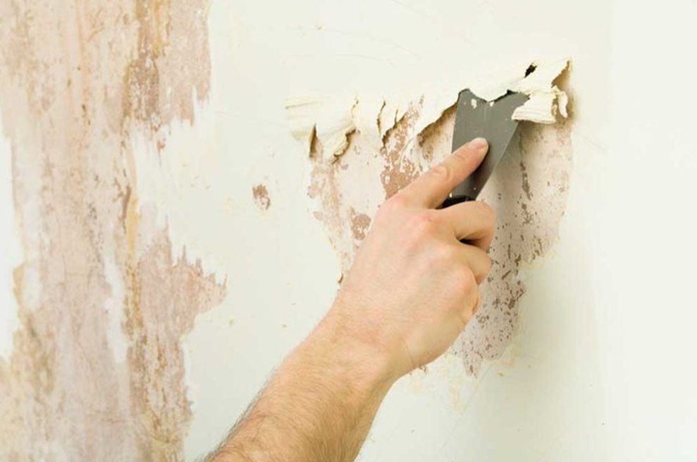       Những dấu hiệu cho thấy ngôi nhà bạn cần sơn lại