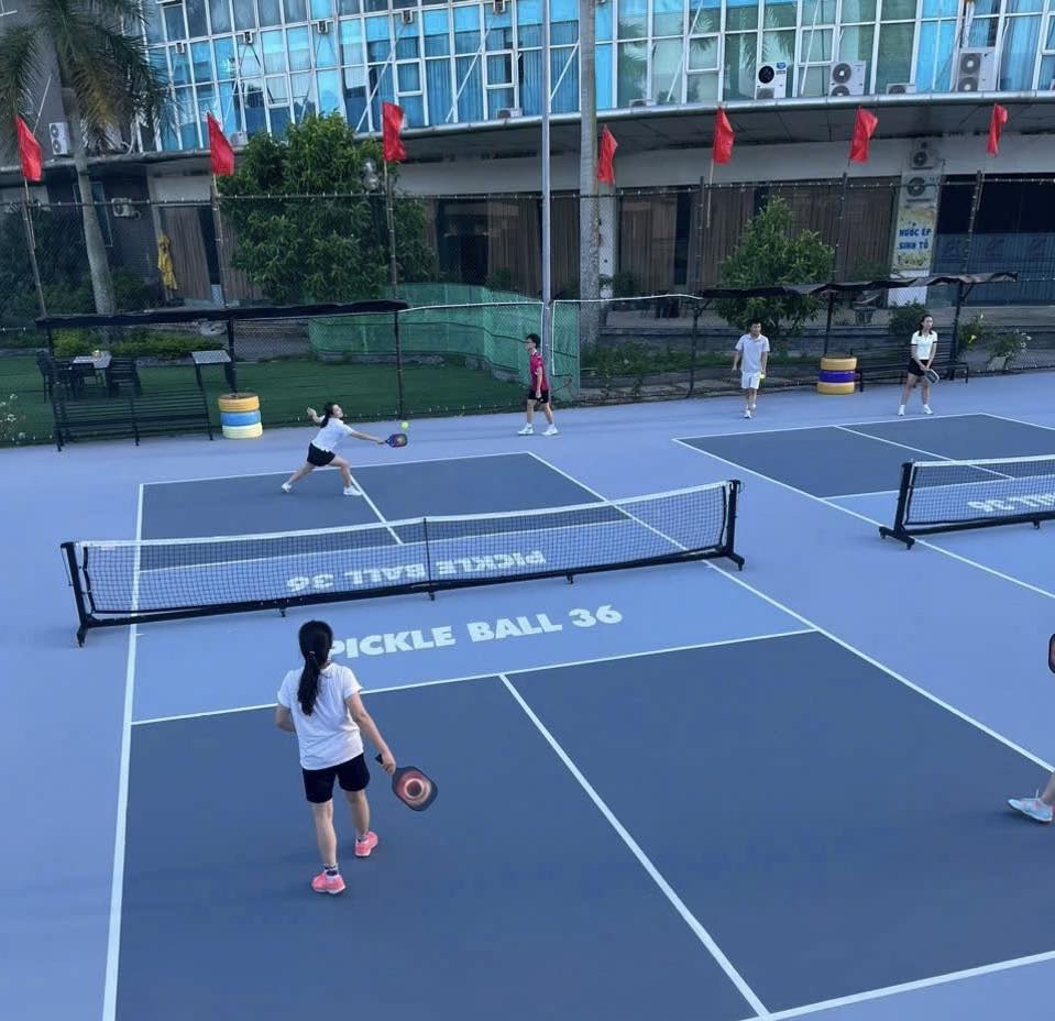  Những tông màu đẹp khi làm sân Pickleball